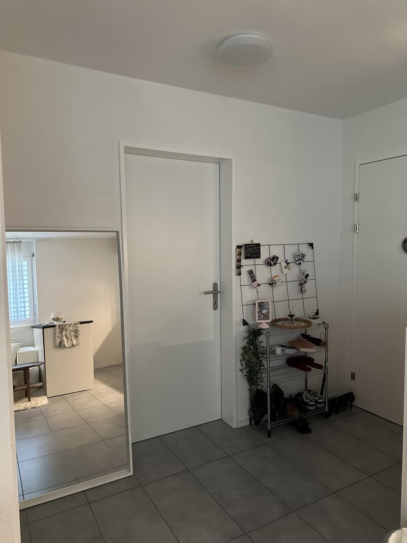 1.5 Zimmerwohnung - Nachmieter gesucht (5)