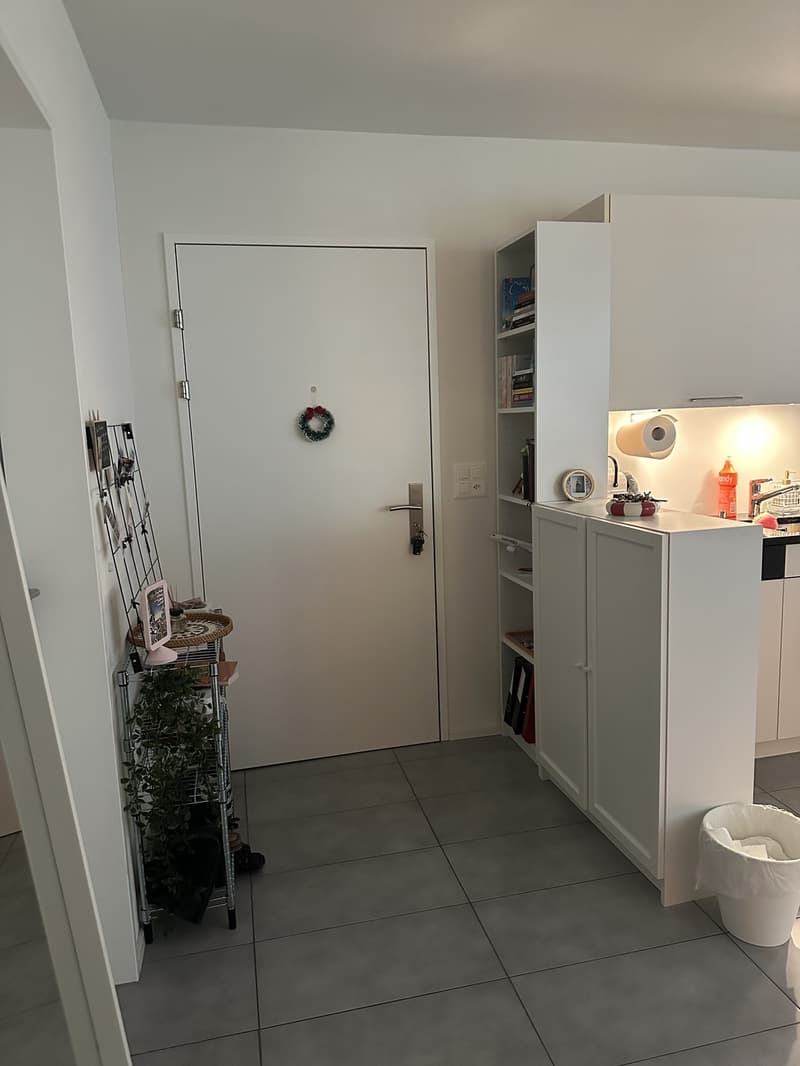 1.5 Zimmerwohnung - Nachmieter gesucht (4)
