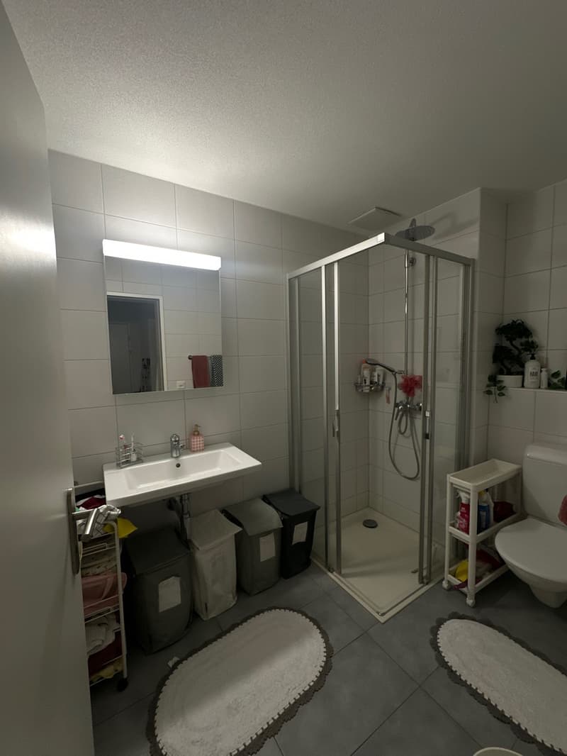1.5 Zimmerwohnung - Nachmieter gesucht (9)