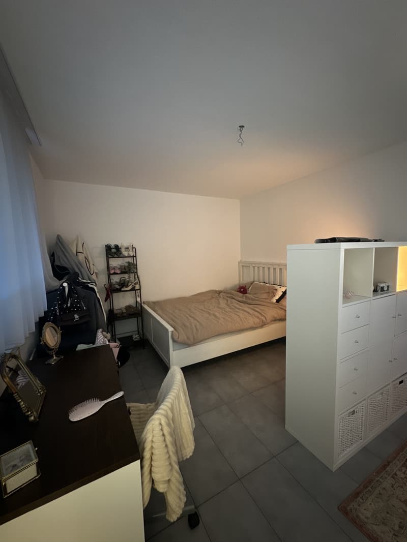 1.5 Zimmerwohnung - Nachmieter gesucht (7)