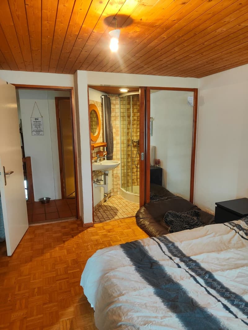 5.5 Zimmer Wohnung mit besonderem Charme (6)