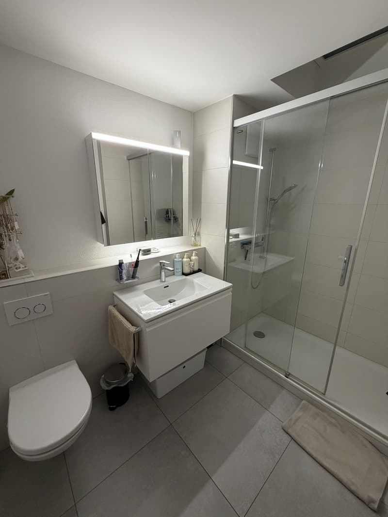 2-Zimmer-Dachwohnung im Breitsch (5)