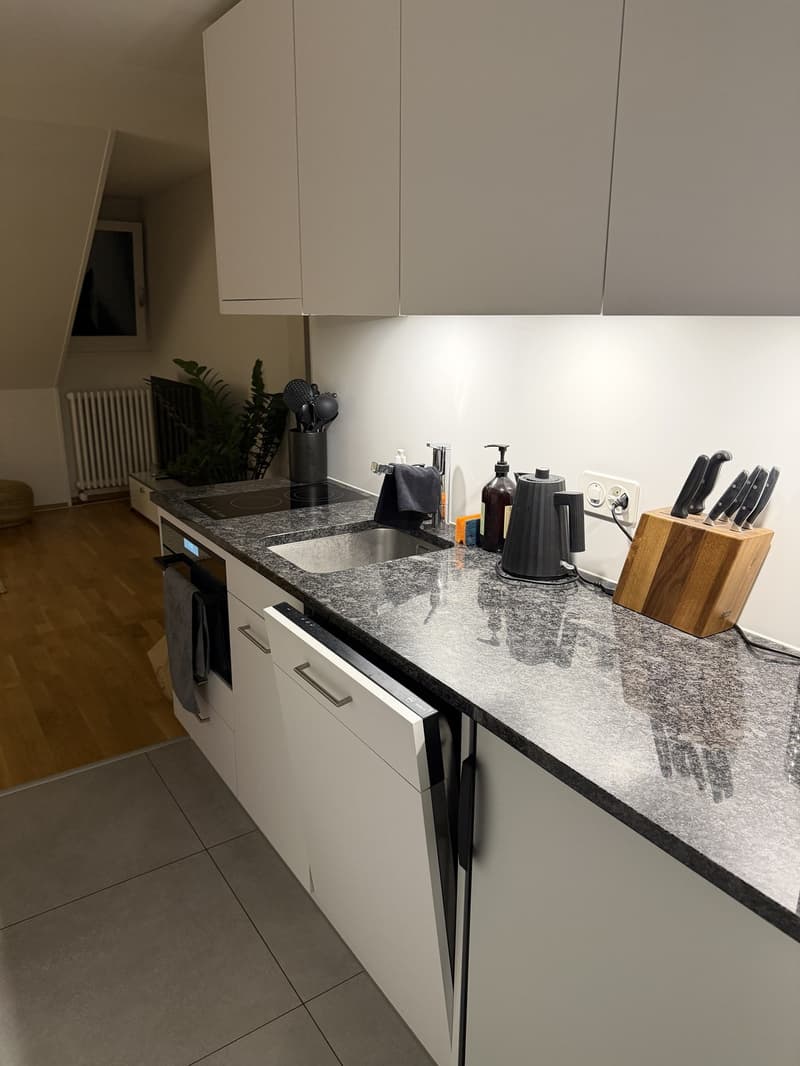 2-Zimmer-Dachwohnung im Breitsch (3)