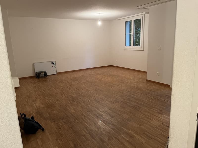 3.5 Zimmer Gartenwohnung per 1. Dezember zu vermieten (4)