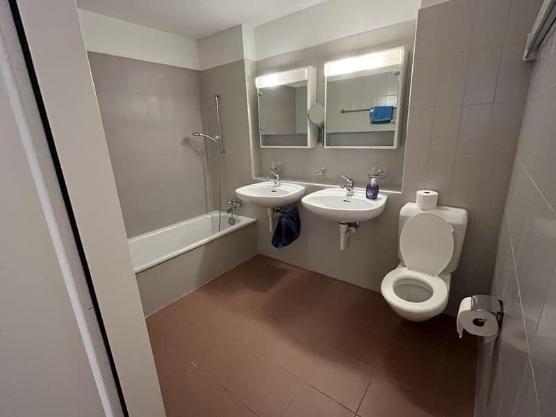 3.5 Zimmer Gartenwohnung per 1. Dezember zu vermieten (10)