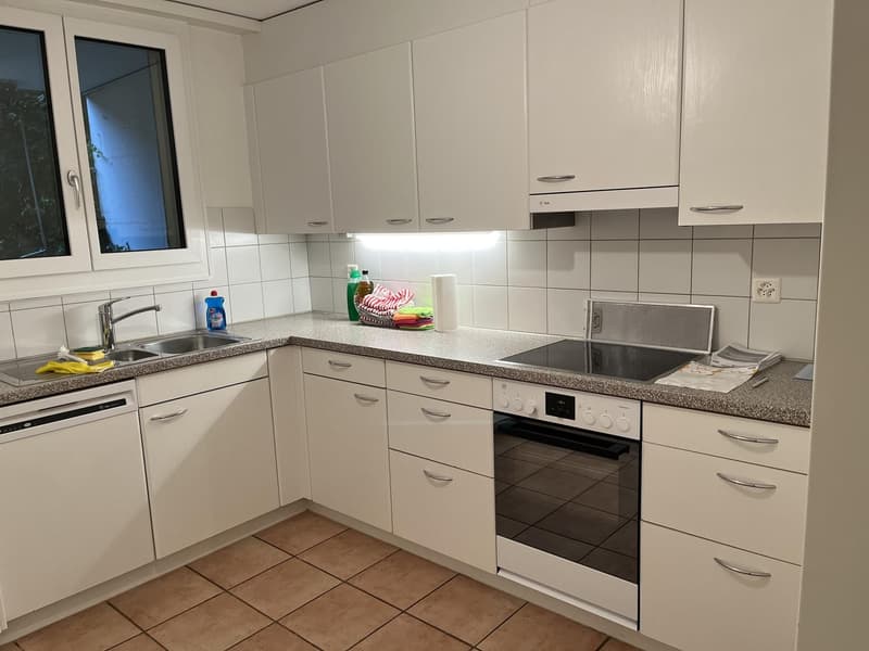 3.5 Zimmer Gartenwohnung per 1. Dezember zu vermieten (2)