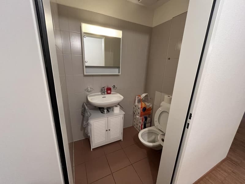 3.5 Zimmer Gartenwohnung per 1. Dezember zu vermieten (8)