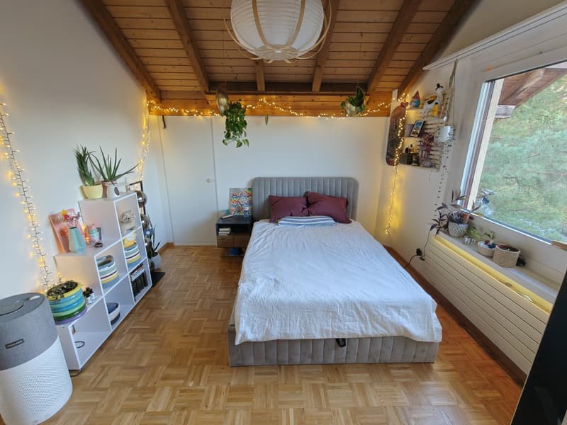 WG-Zimmer mit eigenem Stauraum & Alpenblick (2)
