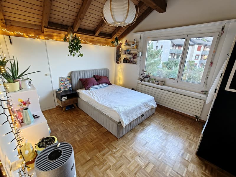 WG-Zimmer mit eigenem Stauraum & Alpenblick (1)