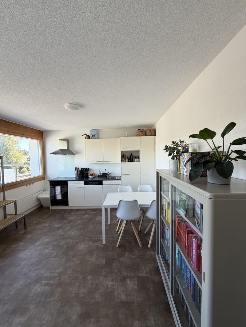 Helle und gemütliche Wohnung in ruhiger Lage (1)