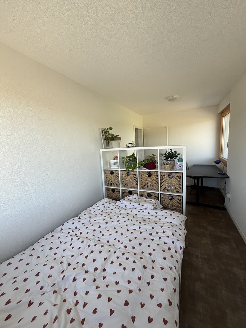 Helle und gemütliche Wohnung in ruhiger Lage (8)