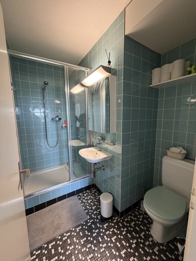 Helle und gemütliche Wohnung in ruhiger Lage (10)