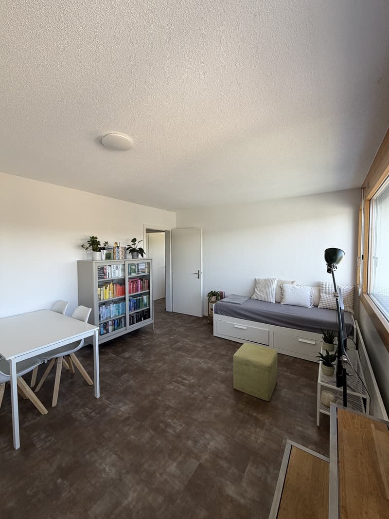 Helle und gemütliche Wohnung in ruhiger Lage (3)