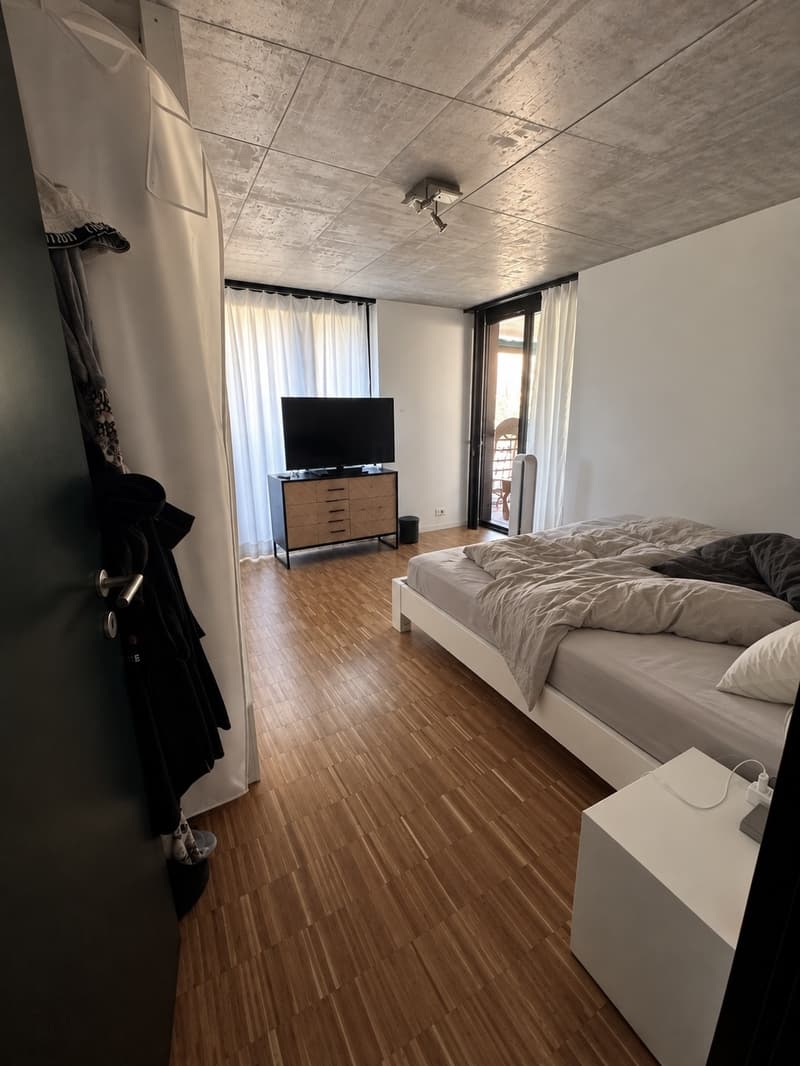 3.5-Zimmer-Wohnung (1)