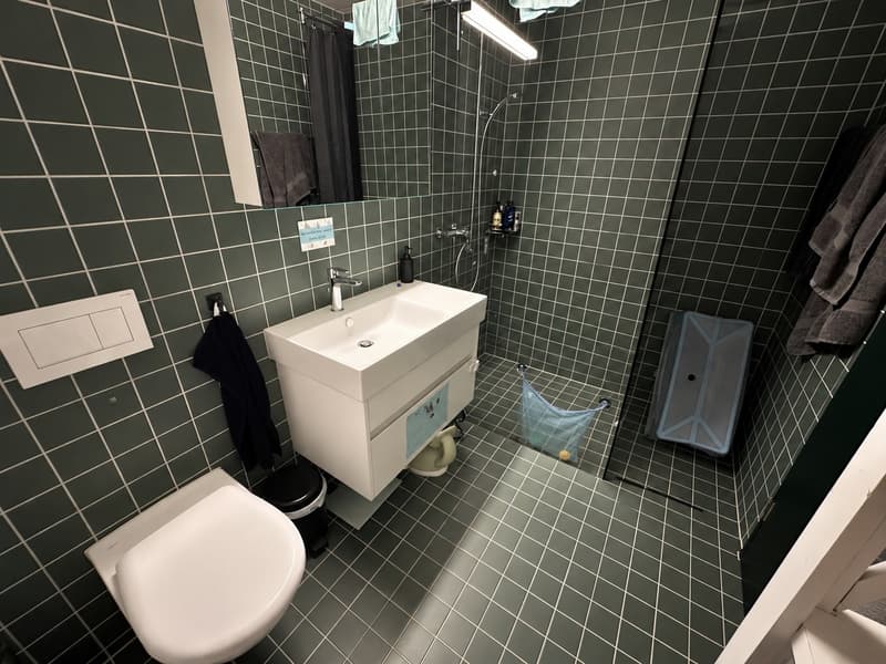 3.5-Zimmer-Wohnung (4)