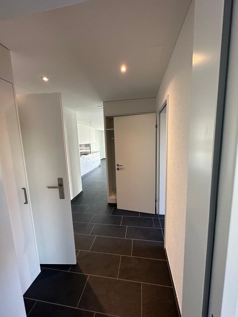 2 ½ Zimmer-Wohnung, 8103 Unterengstringen (3)