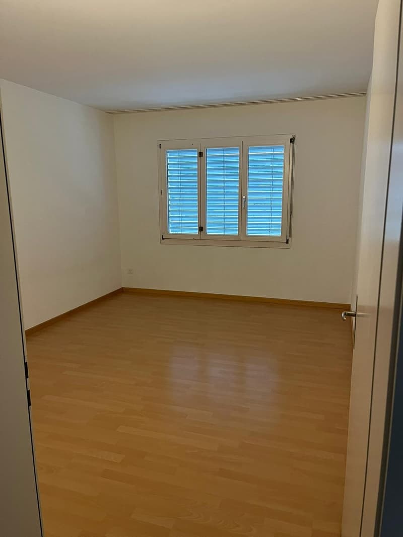 Helle und geräumige, doppelstöckige 4.5 Zimmerwohnung zu vermieten (9)