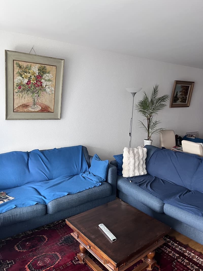 Bel appartement à loyer protégé de 3.5 pièces à St-Sulpice VD (3)