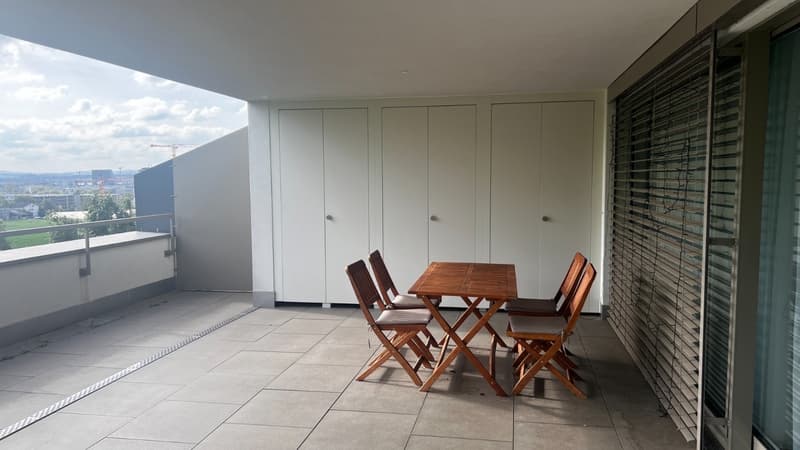 3½ Room Apartment in Baar (ZG), Furnished (13)