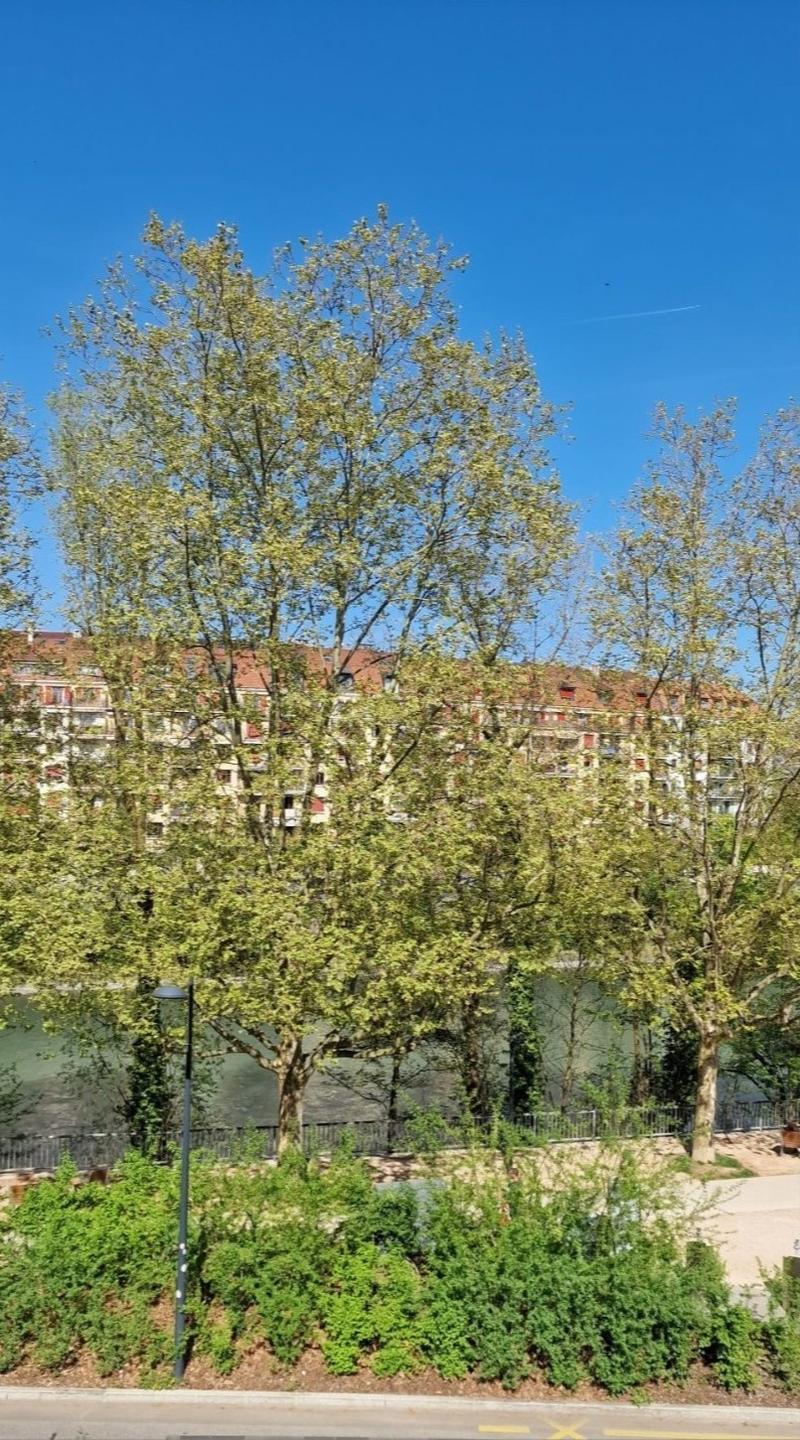 Studio Carouge (5)