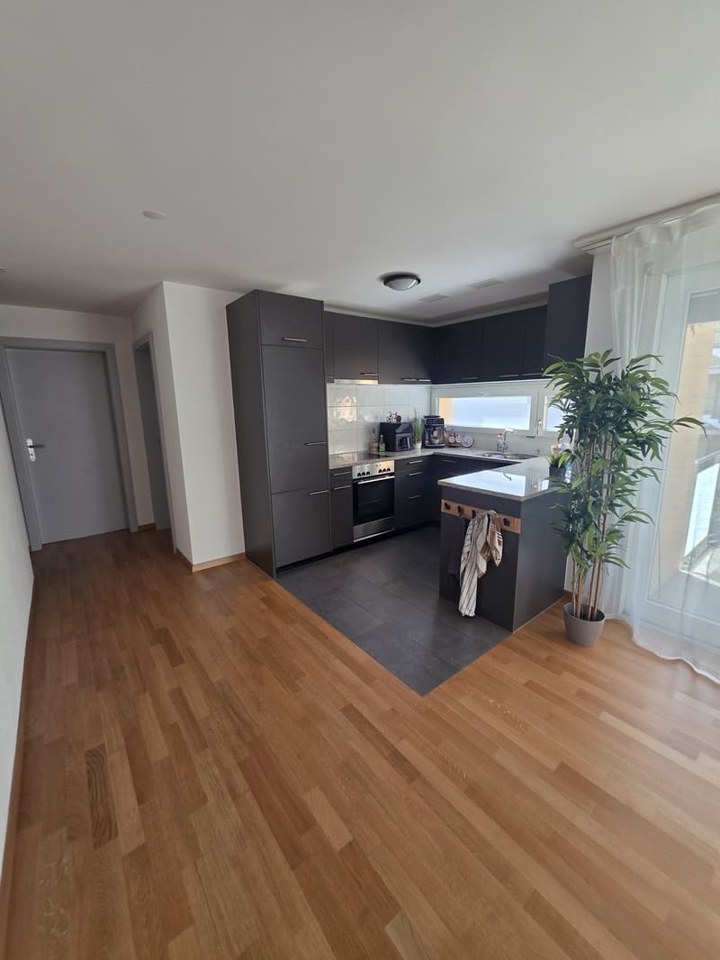 4,5 Zimmer, 119m², CHF 2'100.- (3)