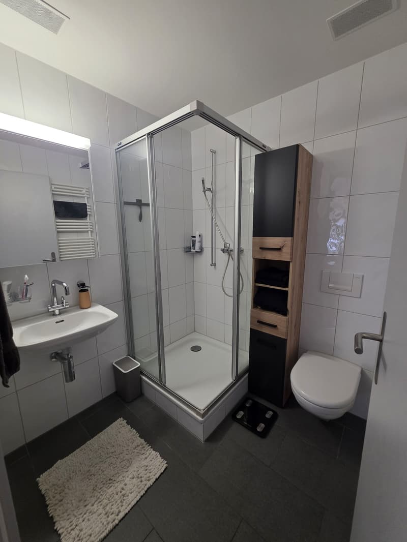 4,5 Zimmer, 119m², CHF 2'100.- (8)