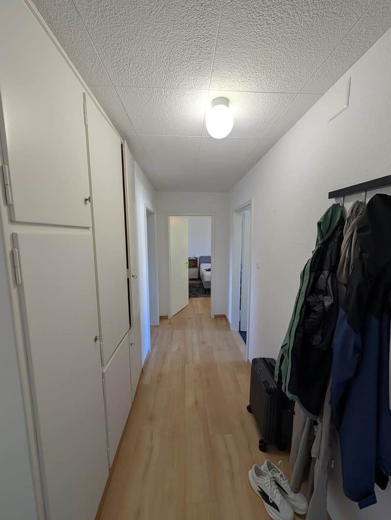3.5 room apartment close to nature (13)