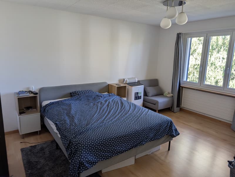 3.5 room apartment close to nature (10)