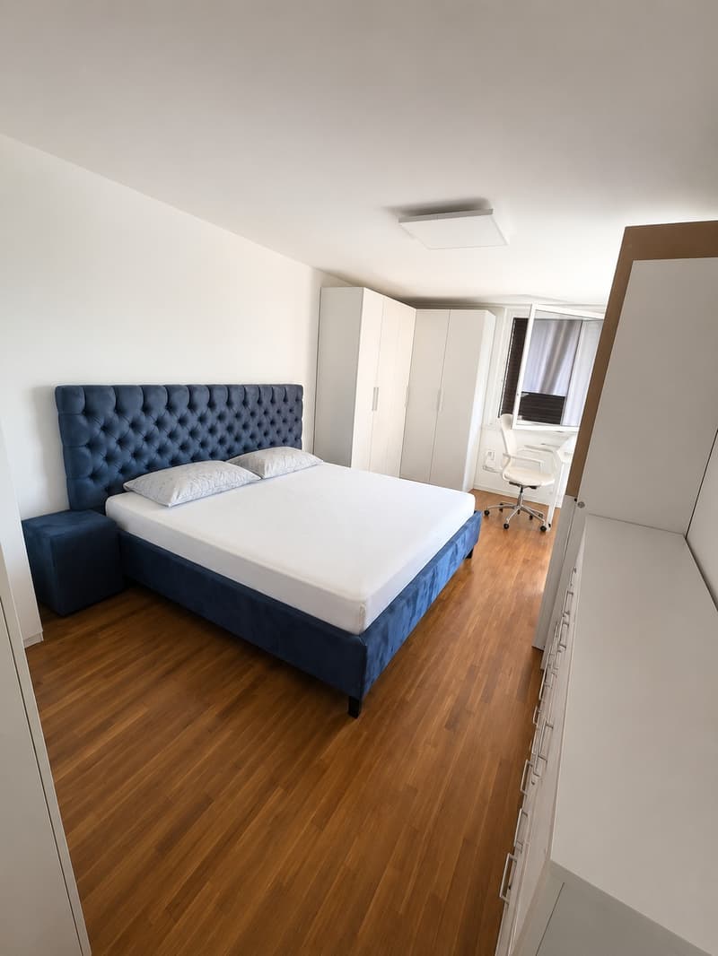 Exceptional 3.5 Apartment in Zug (only for swap with 4.5+ apt in Zug) (4)