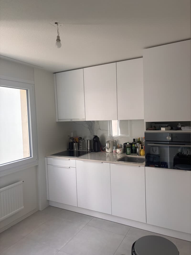 Magnifique appartement 3 pièces récemment rénové avec vue sur le lac (3)