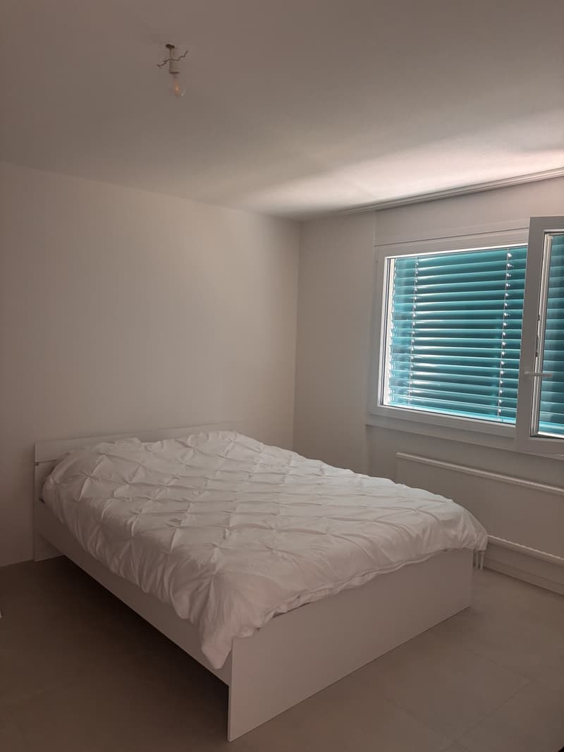 Magnifique appartement 3 pièces récemment rénové avec vue sur le lac (2)