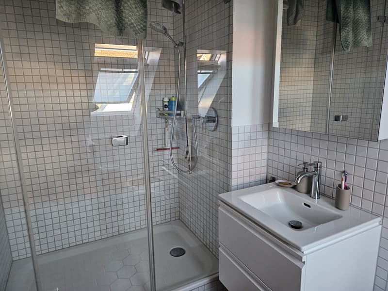Moderne Wohnung in Wiedikon (5)