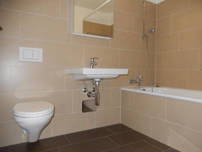 Apartment 2.5 Dübendorf (4)
