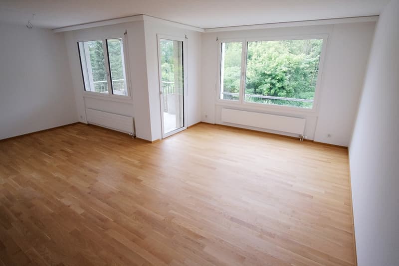 2.5 ZWG in Zumikon, saniert (1)