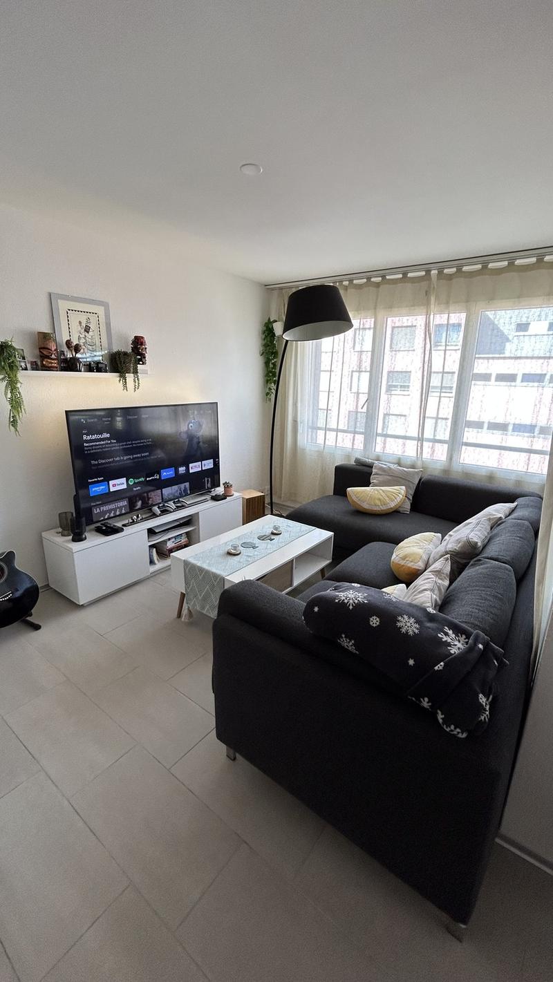 Bright Apartment in Oerlikon Temporary Sublet NovDec (1)