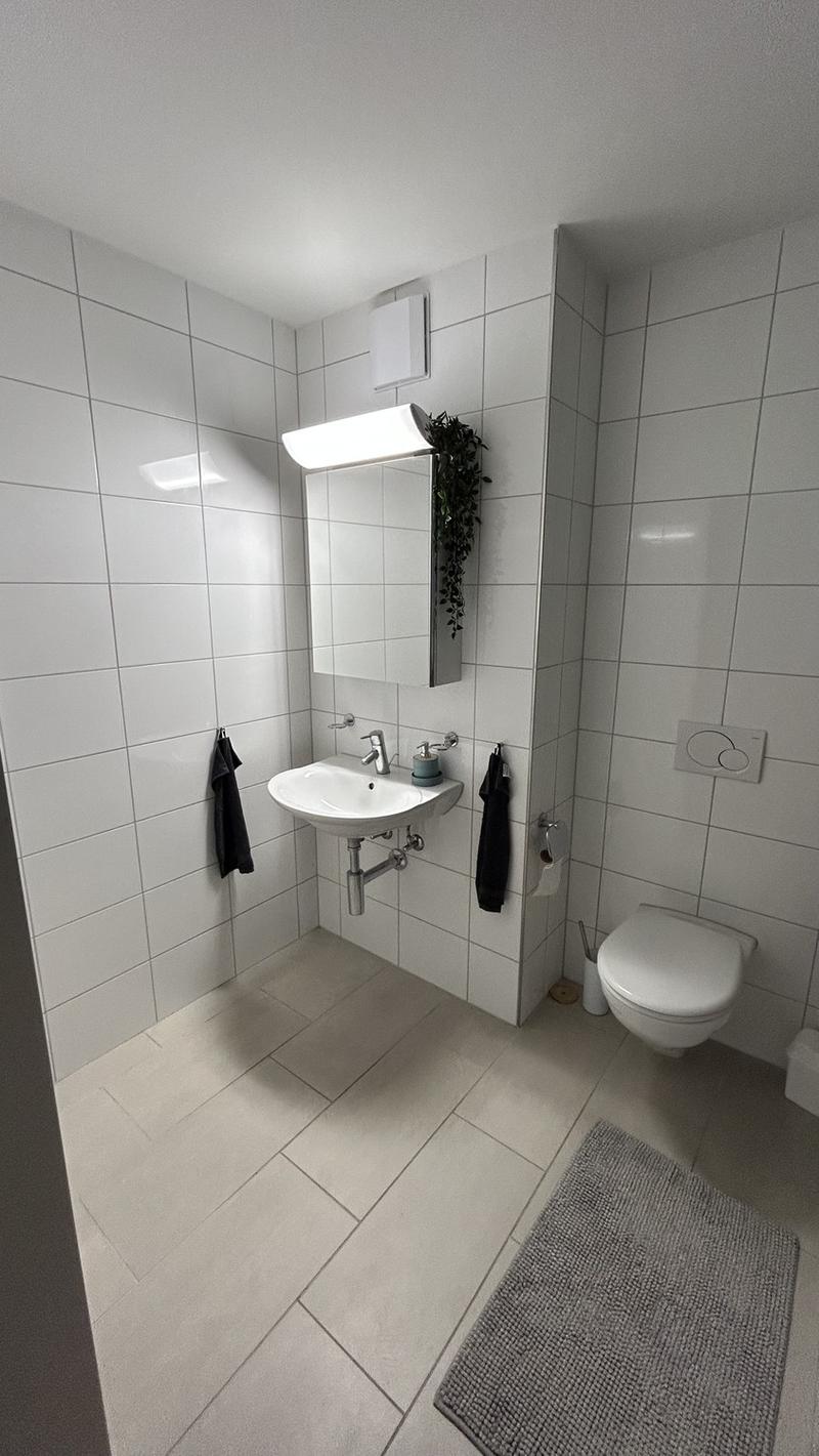 Bright Apartment in Oerlikon Temporary Sublet NovDec (5)