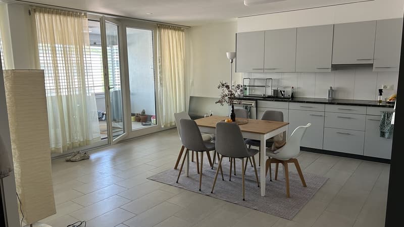 Bright Apartment in Oerlikon Temporary Sublet NovDec (2)