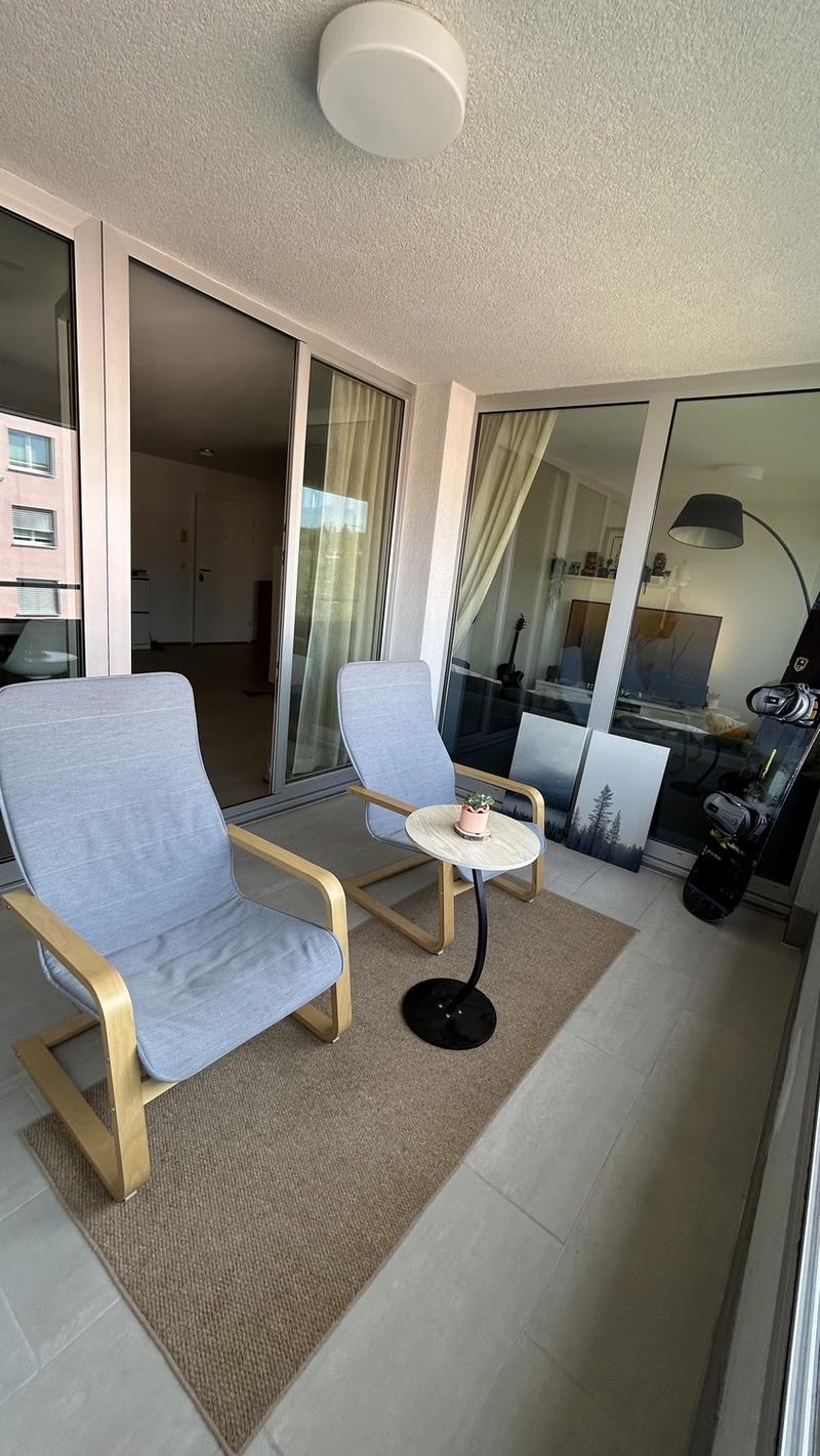 Bright Apartment in Oerlikon Temporary Sublet NovDec (3)