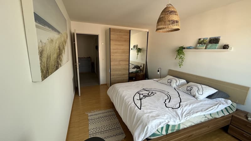 Bright Apartment in Oerlikon Temporary Sublet NovDec (4)
