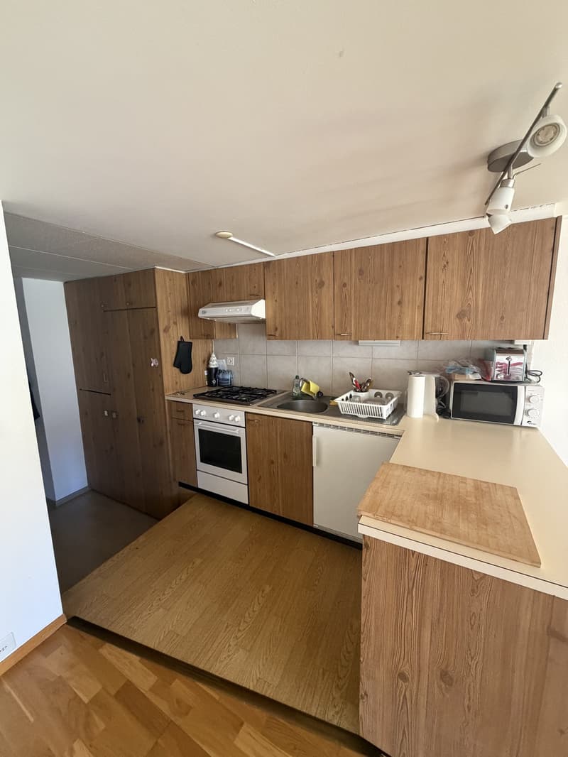 appartement 3.5 Fribourg (3)
