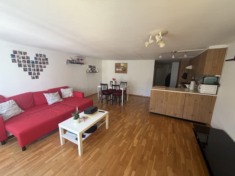 appartement 3.5 Fribourg (1)