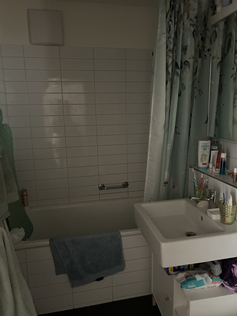 Schöne 2-Zimmerwohnung (4)
