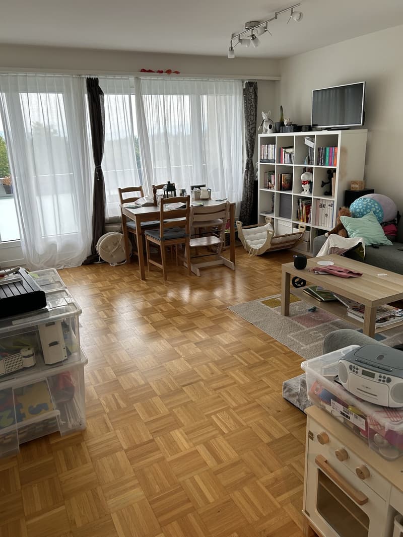 Schöne 2-Zimmerwohnung (1)