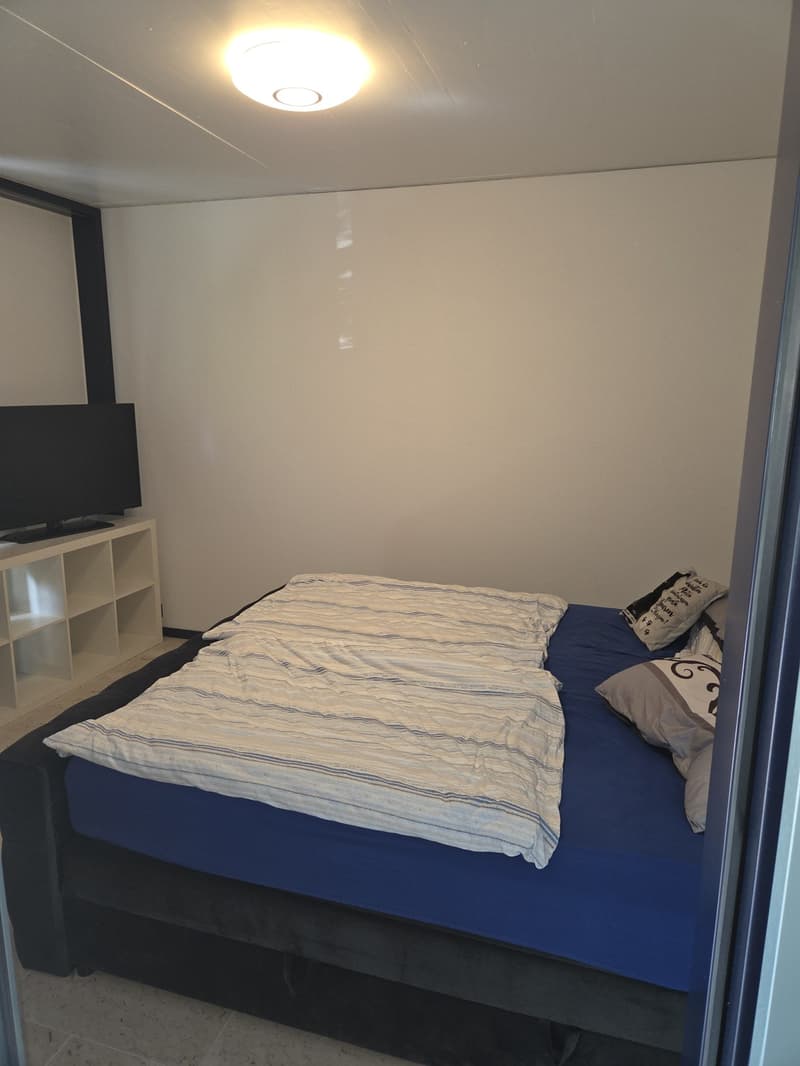 Wunderschöne Terrassenwohnung in Kloten (4)