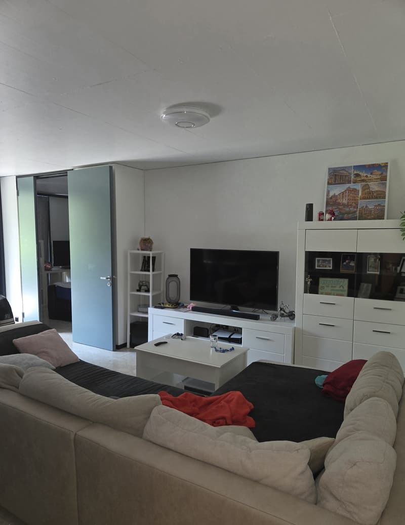 Wunderschöne Terrassenwohnung in Kloten (2)