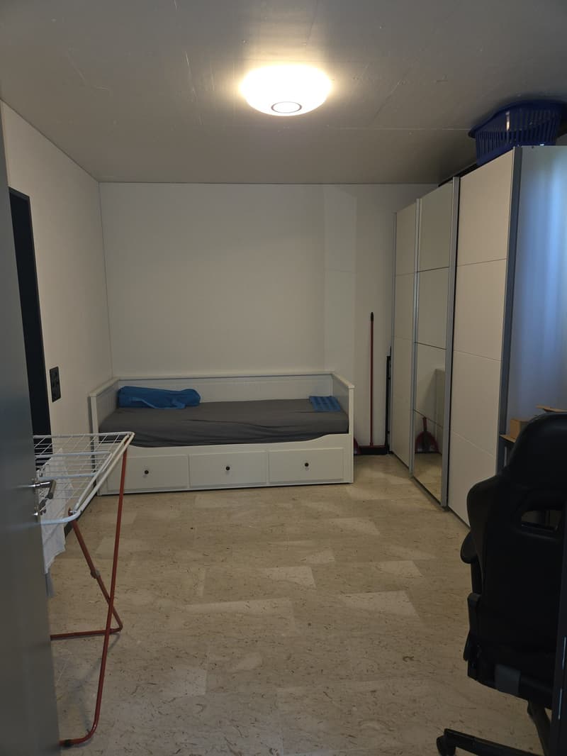 Wunderschöne Terrassenwohnung in Kloten (5)