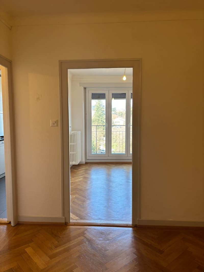 Appartement de 3,5 pièces avec vue sur parc et Jura, Servette. Place de parc à prendre. (4)