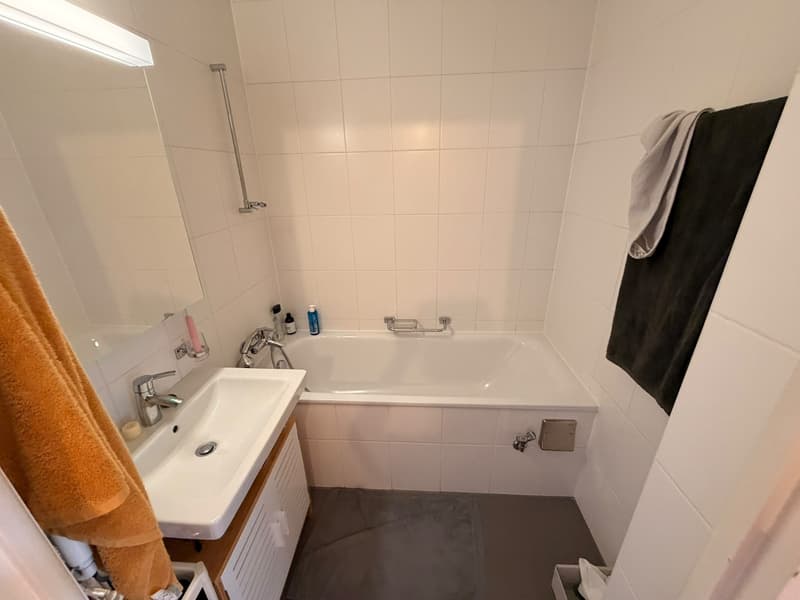 Appartement de 3,5 pièces avec vue sur parc et Jura, Servette. Place de parc à prendre. (6)