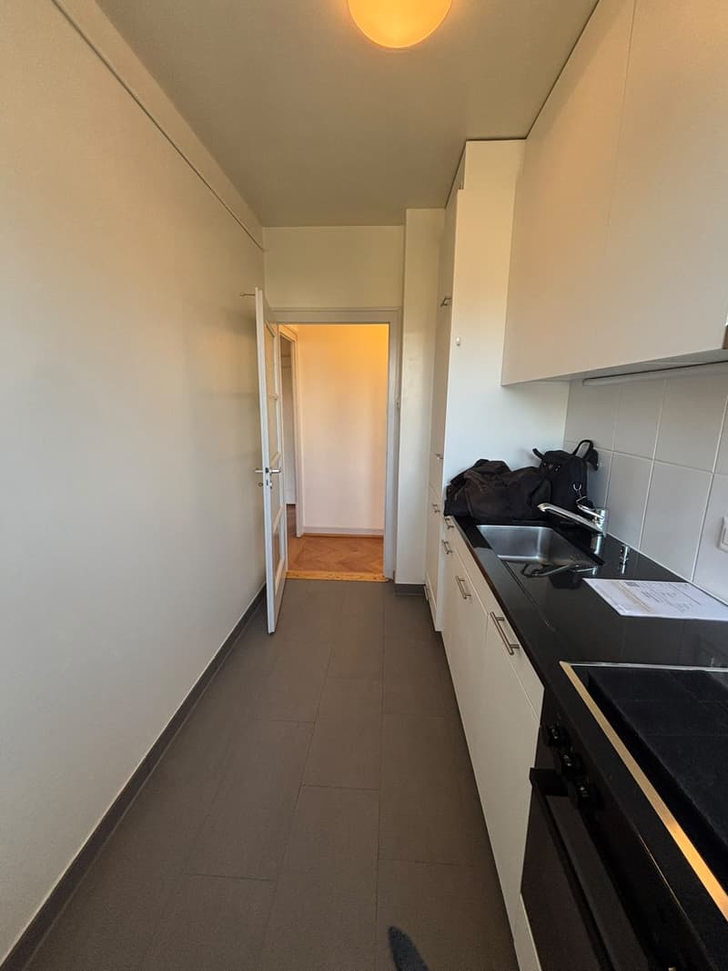 Appartement de 3,5 pièces avec vue sur parc et Jura, Servette. Place de parc à prendre. (1)