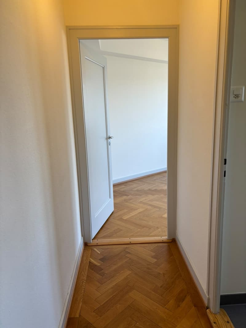 Appartement de 3,5 pièces avec vue sur parc et Jura, Servette. Place de parc à prendre. (11)